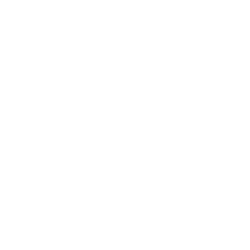 Dashen Transportation Services